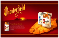 22_mszabo-chesterfield-working.jpg
