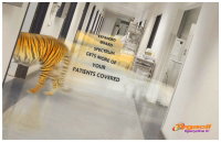25_mszabo-tygacil-hallway-final.jpg