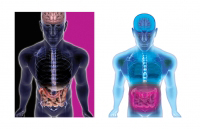 25_relayouts-late-2008colortest-13.jpg